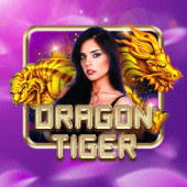 Dragon Tiger okplay apk live casino